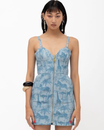 Asilia safari dress