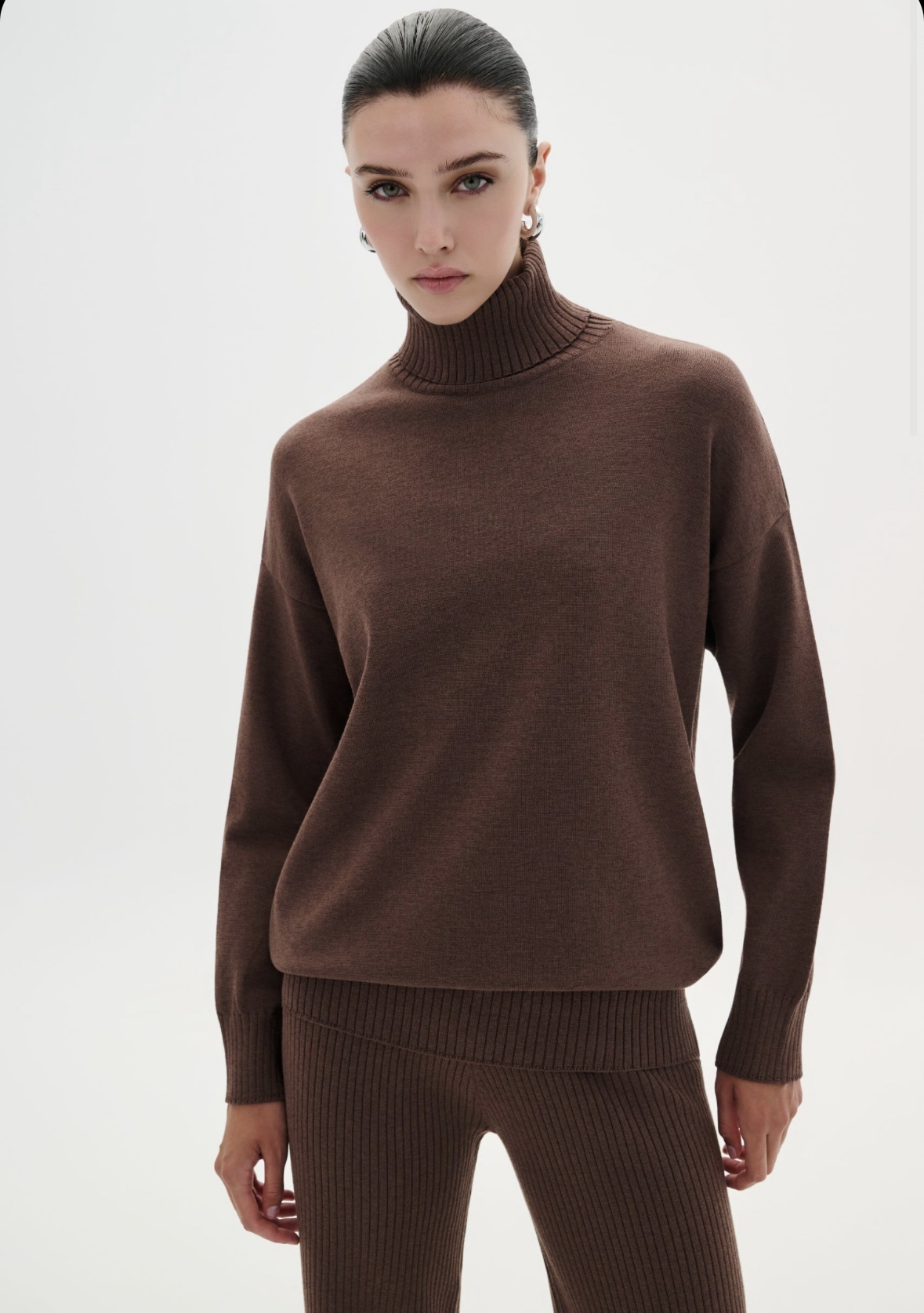 Blouse Turtleneck
