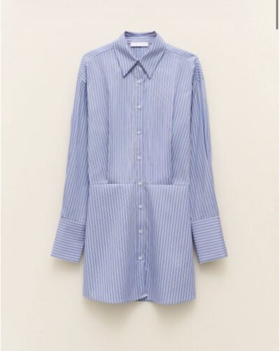 Blue Oxford Shirt Dress