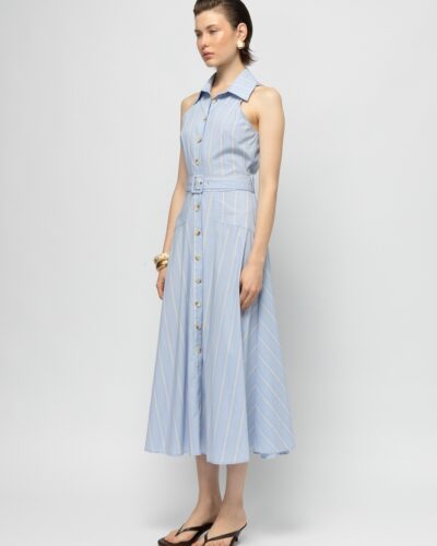 Anisa Dress