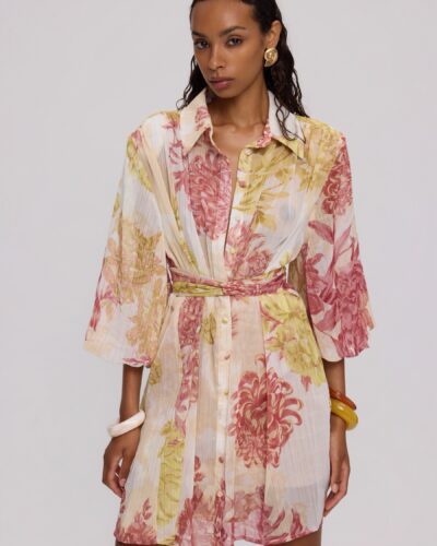 Elena shirt dress