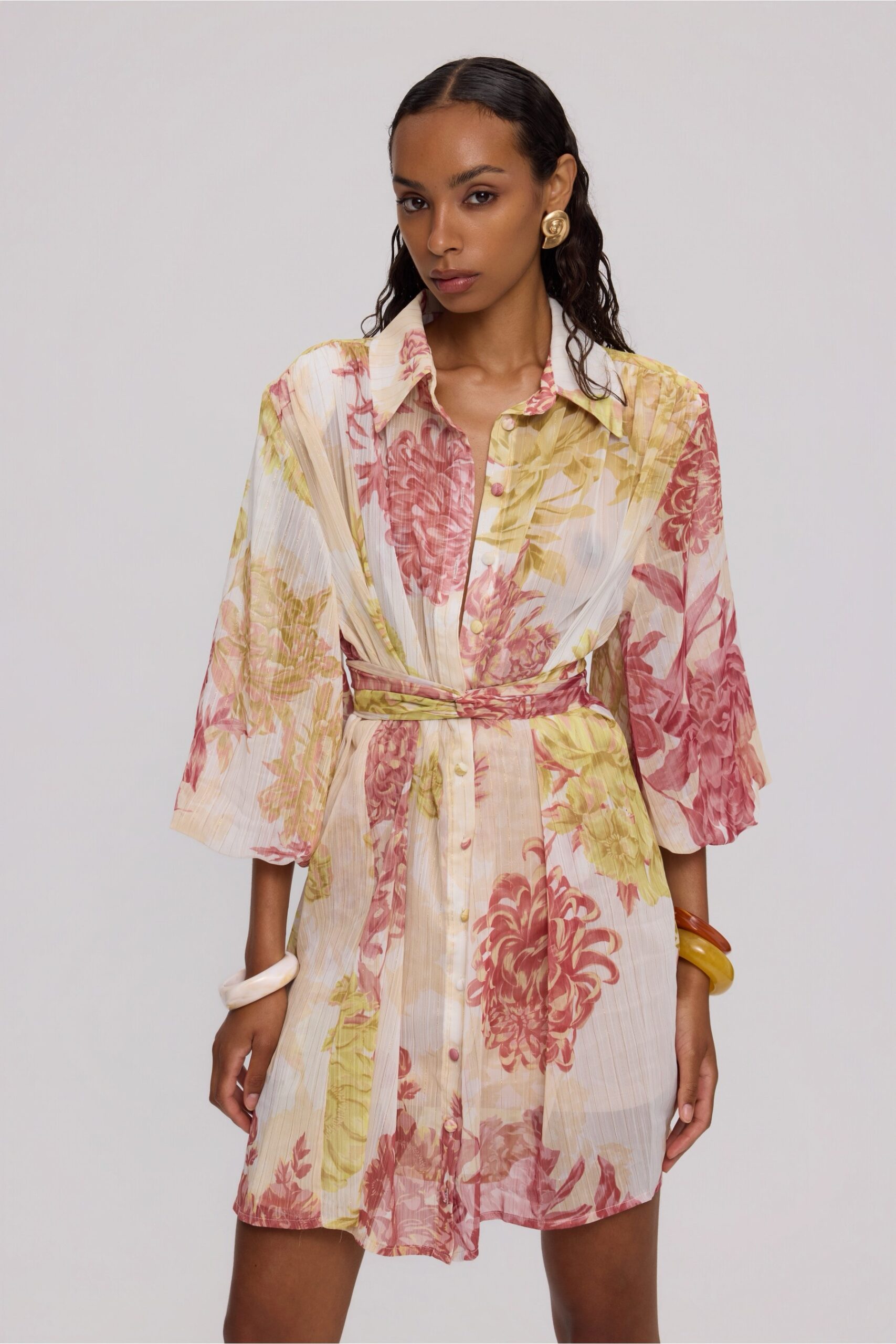 Elena shirt dress