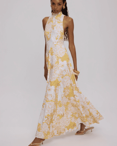 Solene Backless Dress