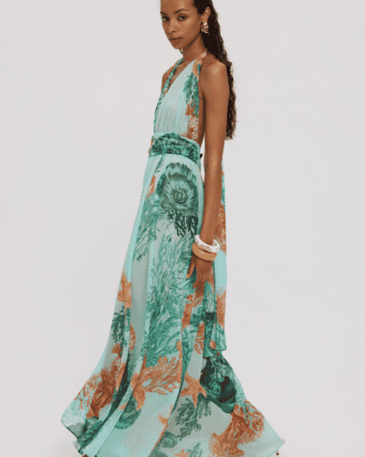 Asterias Long Backless Dress
