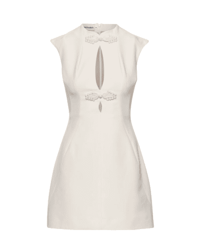 Monica mini dress